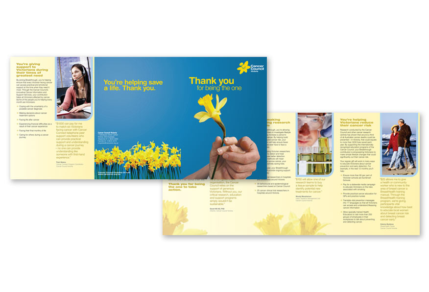 Donation program promotional brochure. Digital media.
